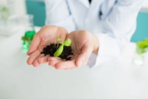 20516821 - woman holding soil and plants at the laboratory